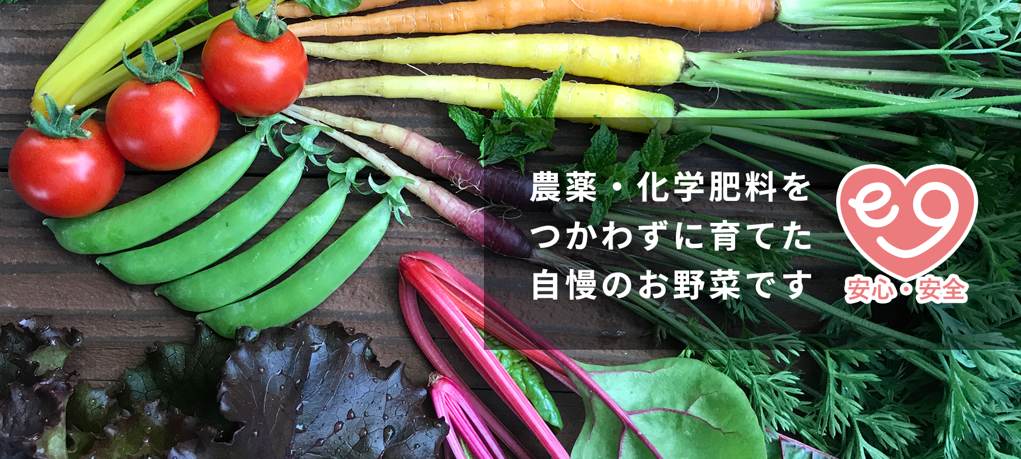 農薬・化学肥料をつかわずに育てた自慢のお野菜です