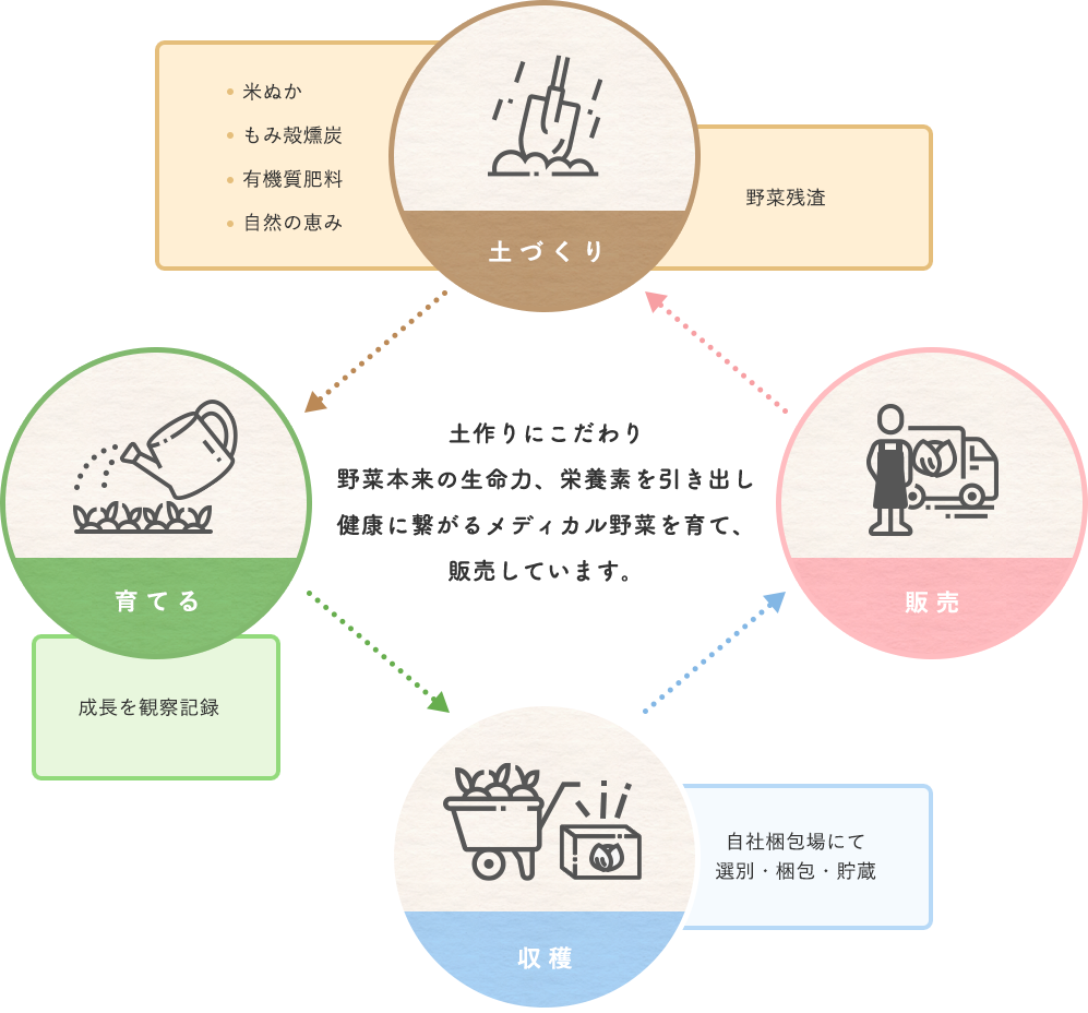土作りにこだわり野菜本来の生命力、栄養素を引き出し健康に繋がるメディカル野菜を育て、販売しています。